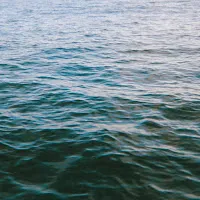 Fiji Blue — Waves — обложка